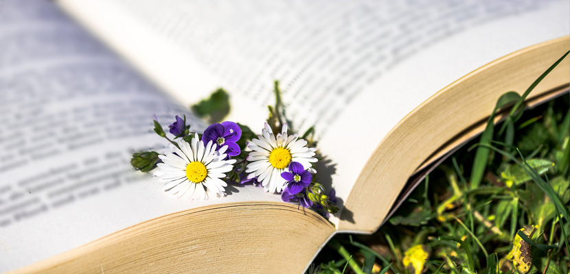 De la planta la medicament