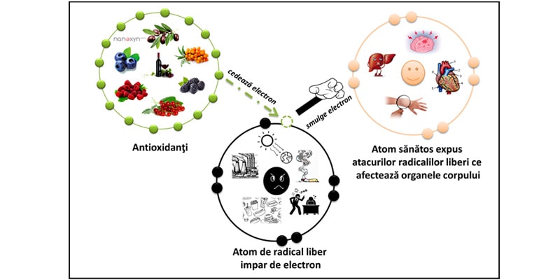 Functionarea Nanoxyn Alpha