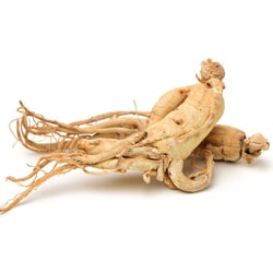 Ginseng siberian - Eleuterococcus senticosus