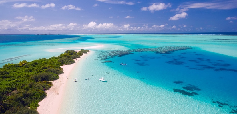 Importanta concediului