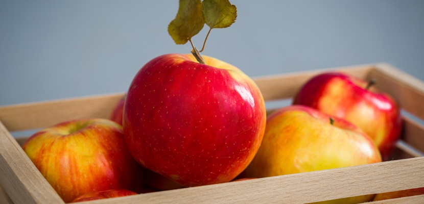 Truce Wafer Wafer Fructe pentru sănătatea noastră: mere, pere, prune, caise și nuci -  eFamilia.ro